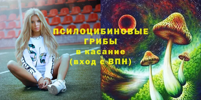 Галлюциногенные грибы Cubensis  где купить наркотик  Хотьково 